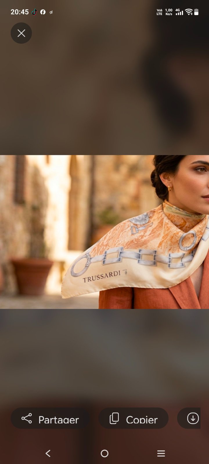 Foulard en soie trussardi 