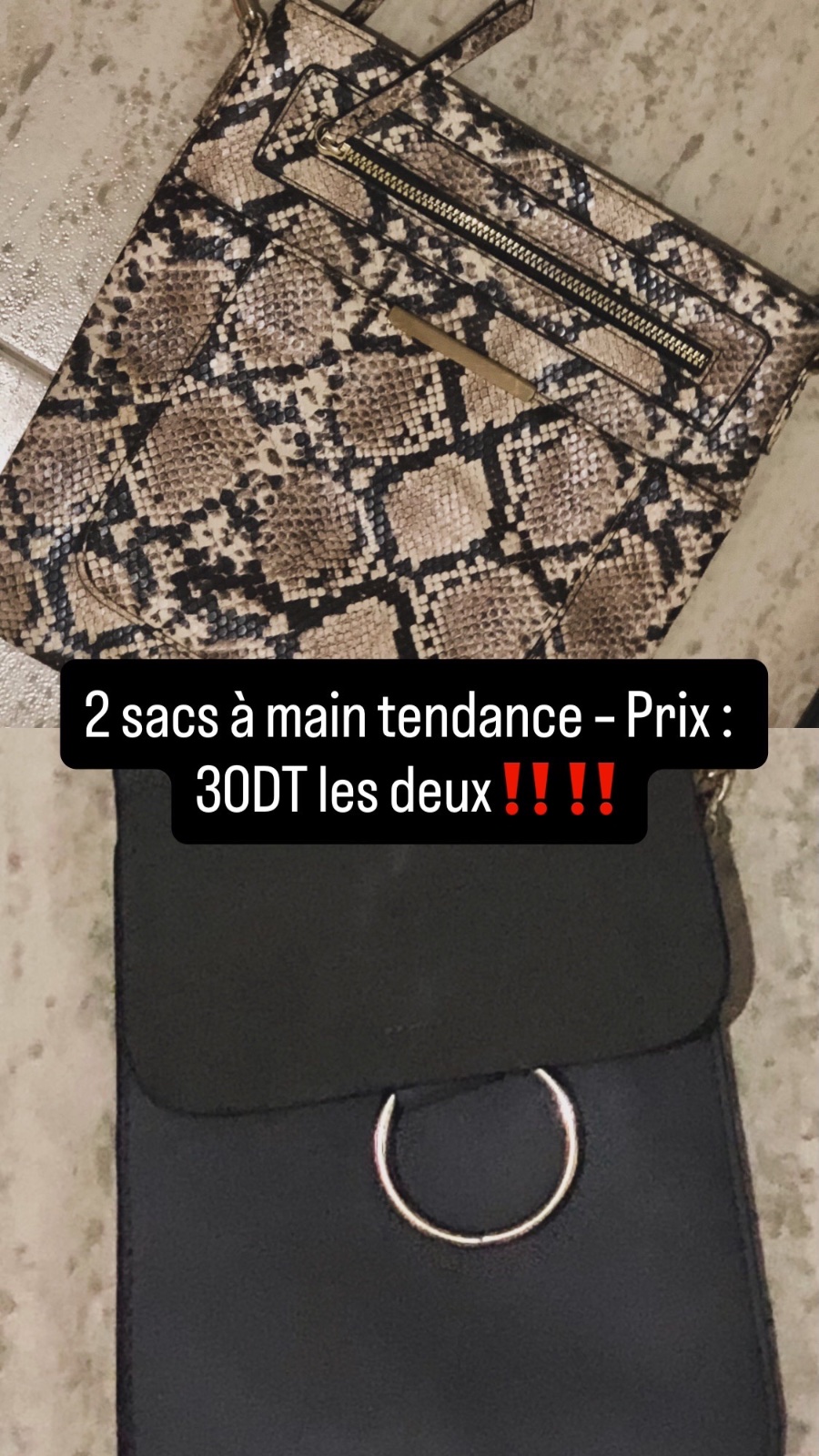 Lot de 2 sacs à main tendance – Prix : 30 DT les deux