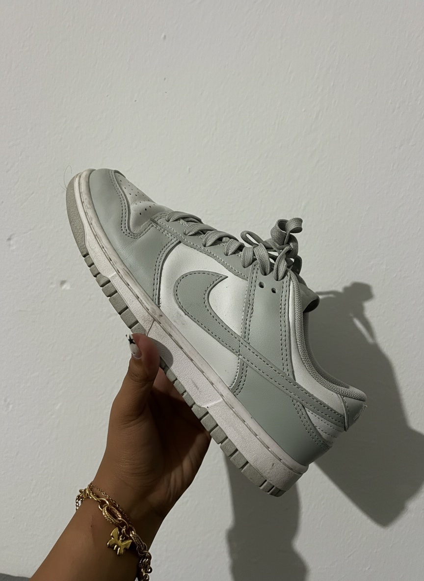 Basket nike authentique 