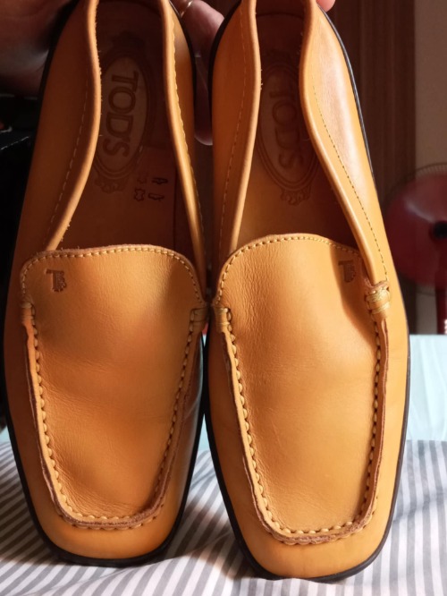 Mocassin