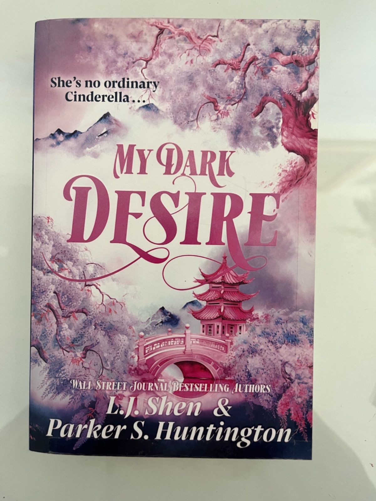 Roman anglais: my dark desire