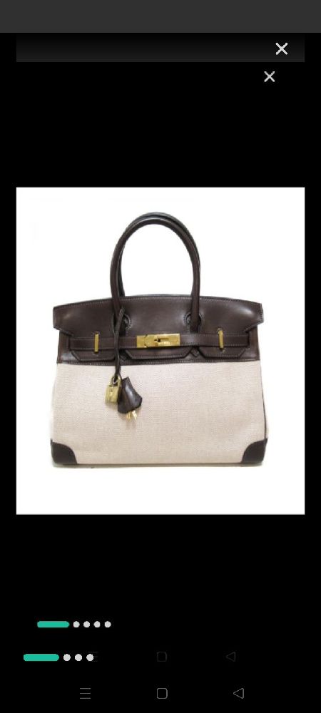 hermes birkin paris