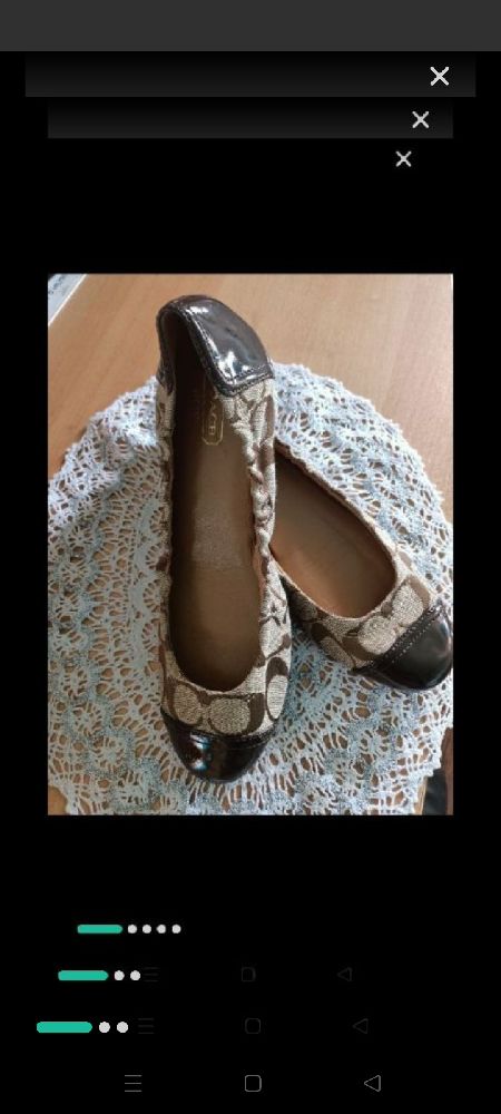 ballerines coach