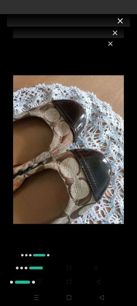ballerines coach