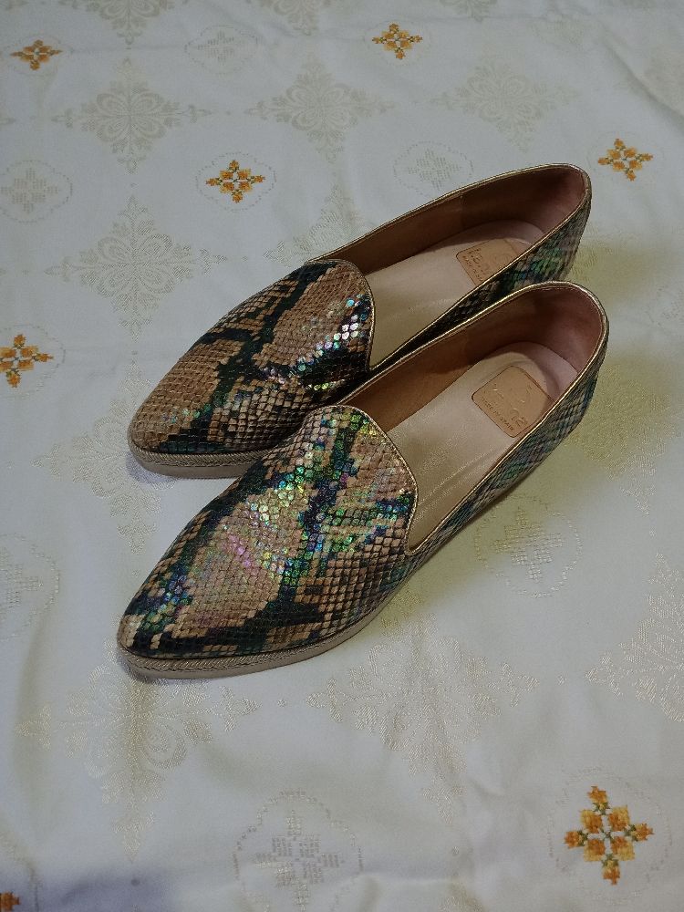 Mocassin serpent