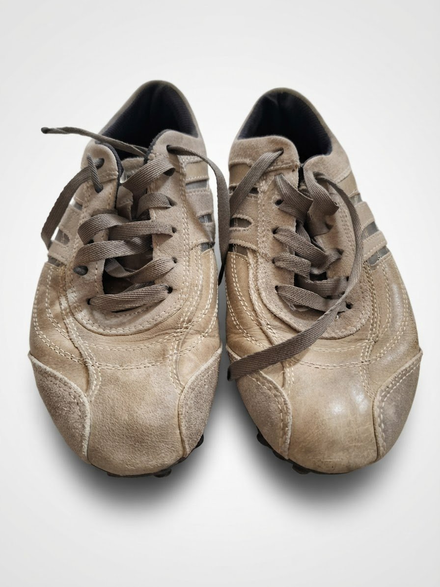 Geox sneakers