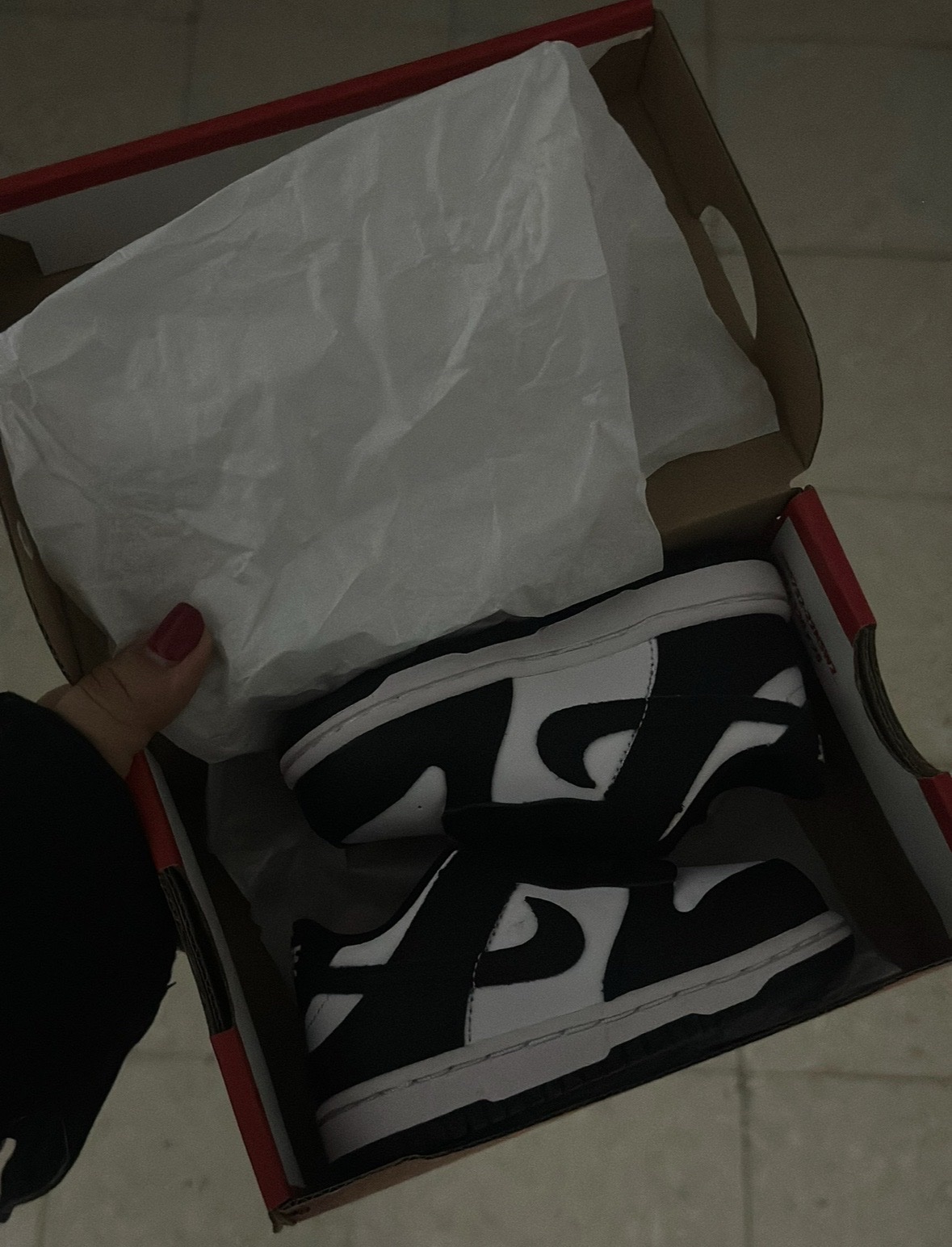 Nike Dunk Low bébé