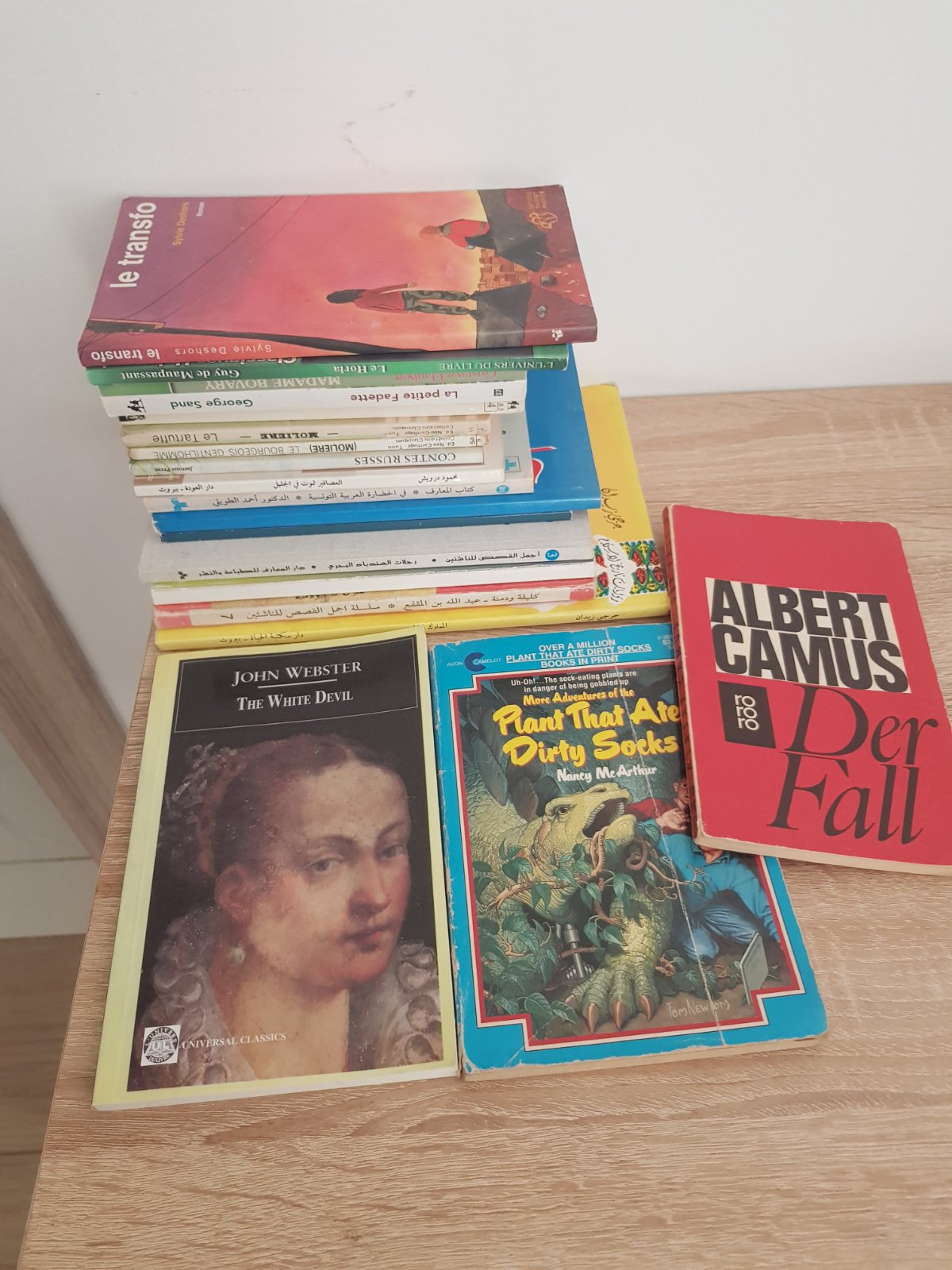 Lot de 19 livres classiques dont 8 en arabe , 8 en français, 2 en anglais et un en allemand 
