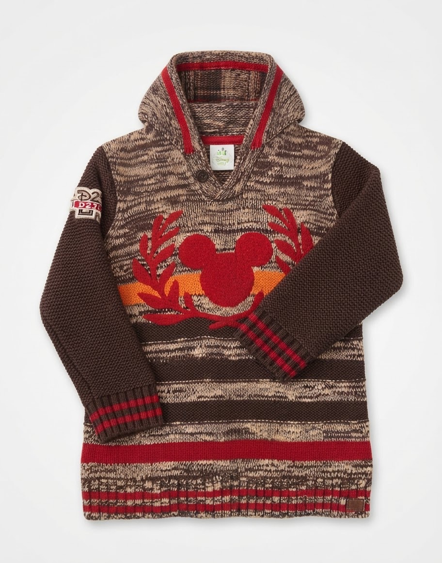Pull disney 18 mois 