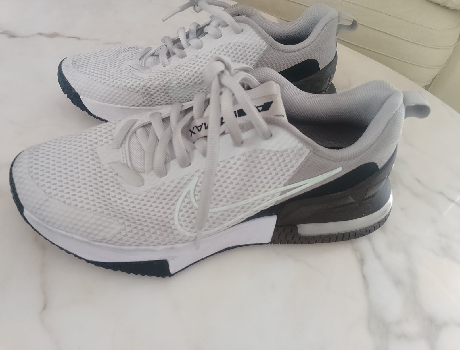 Nike Air Max Alpha trainer 6