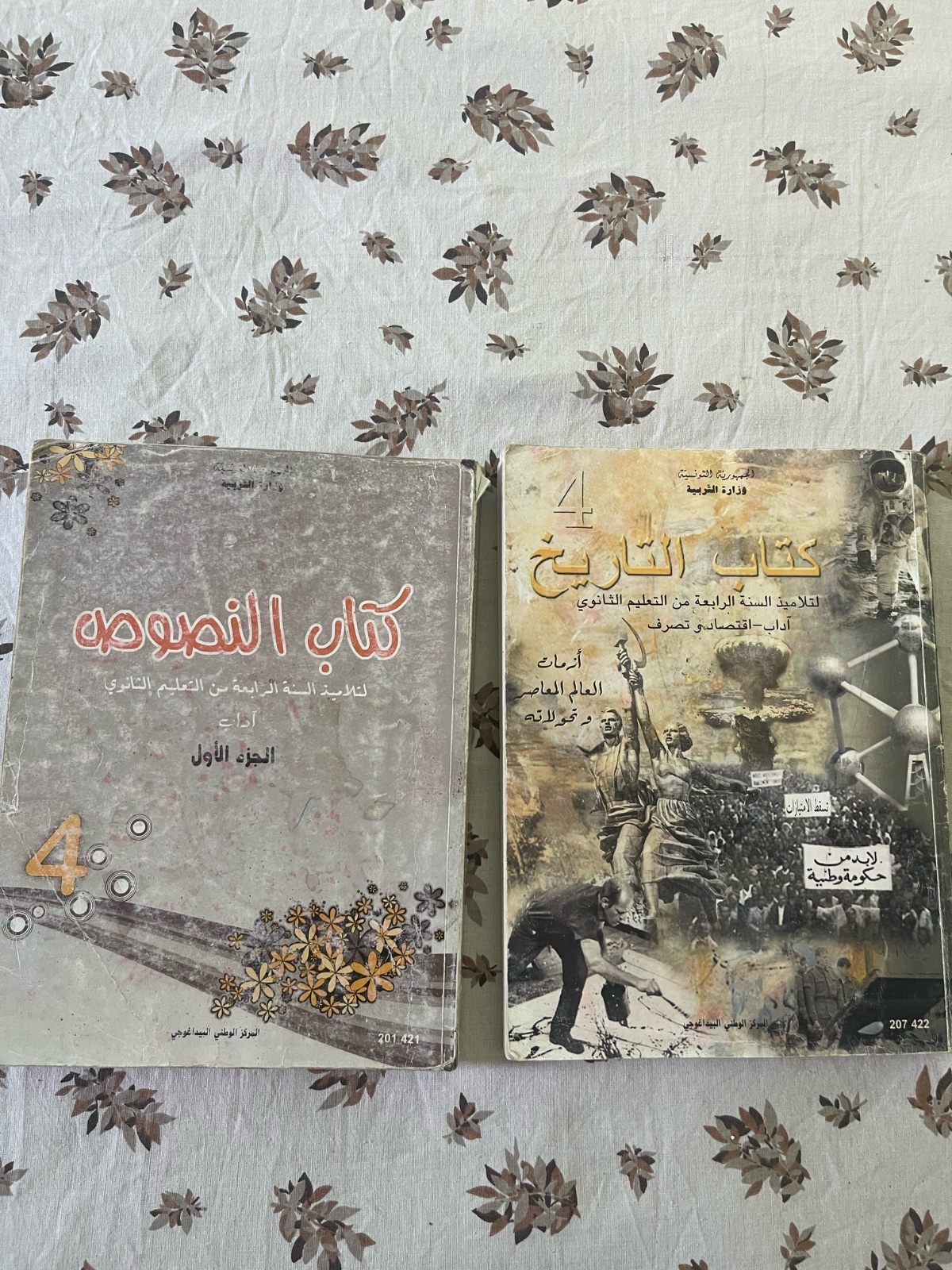 Livres scolaires bac lettres plus des romans 