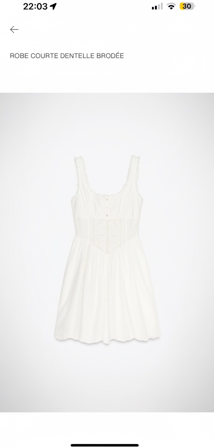 Zara dress