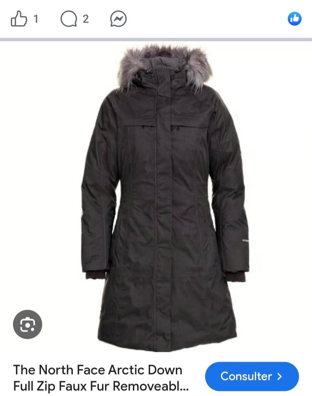 Manteau north face
