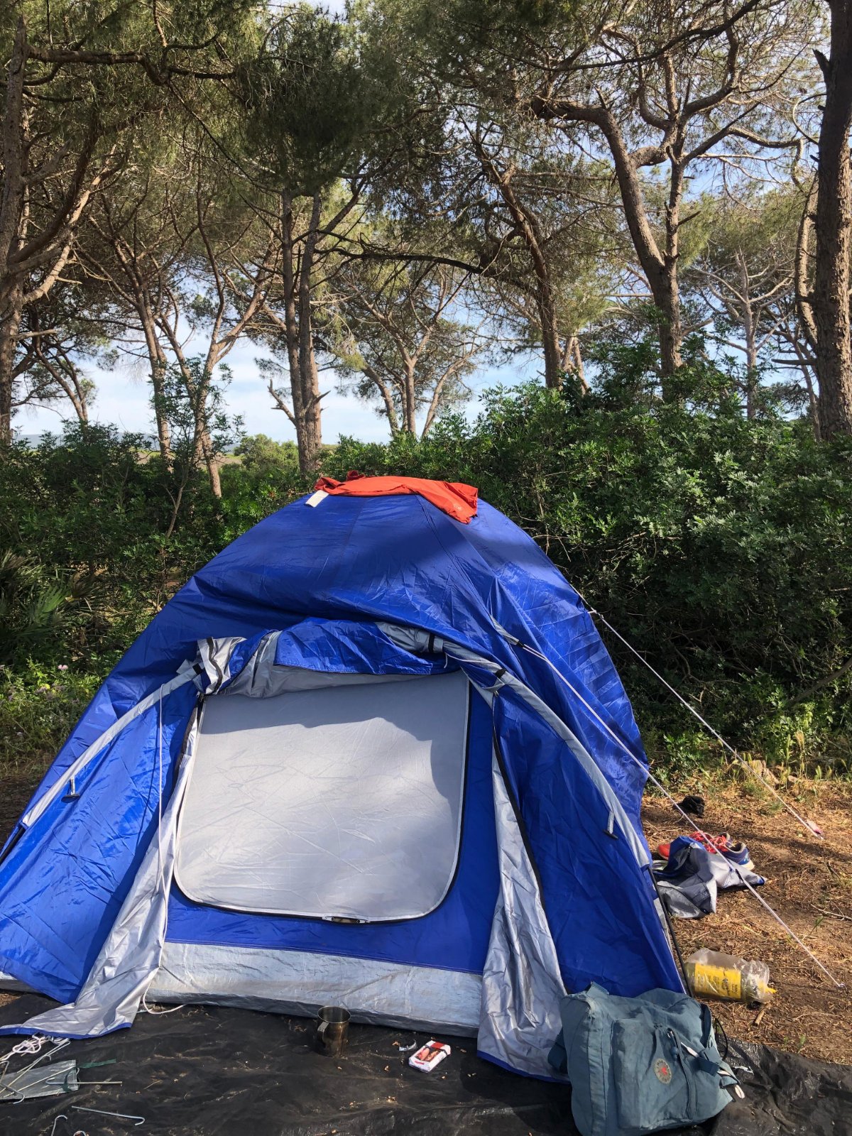 Tente ⛺️ 