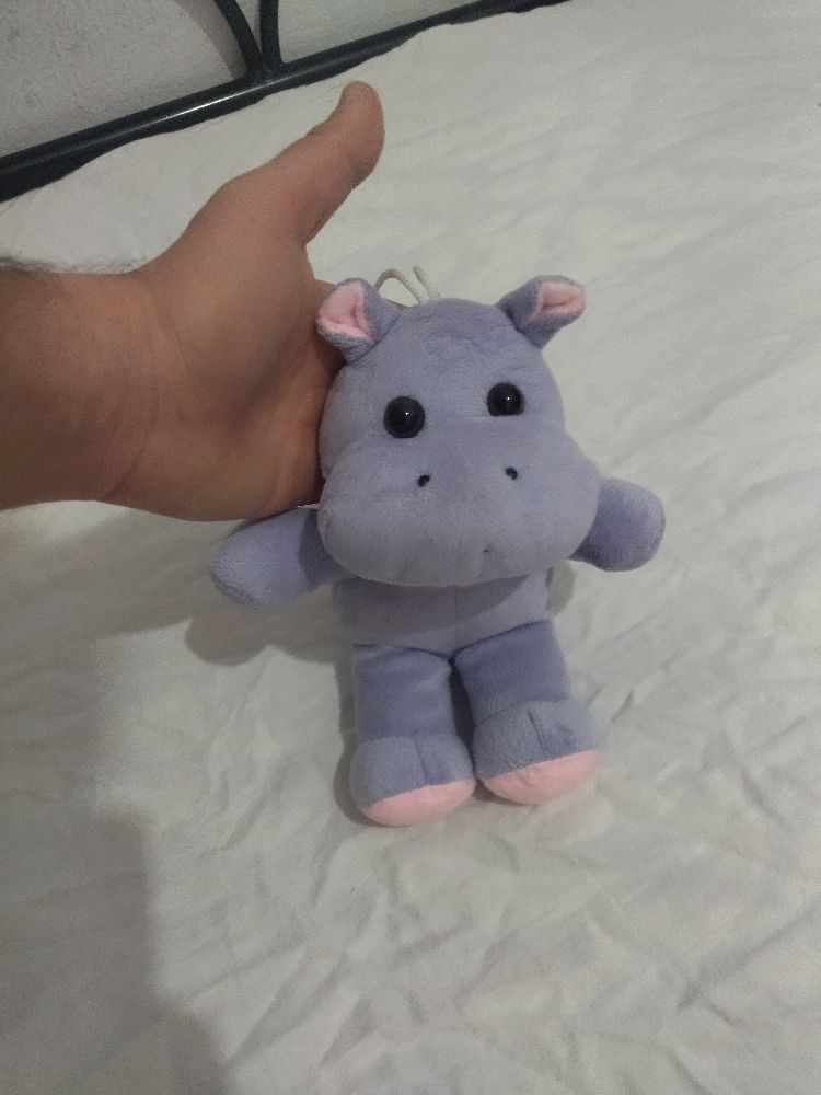 Peluche 