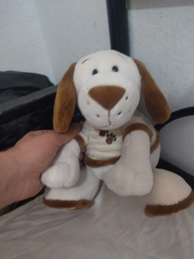 Peluche 🐕