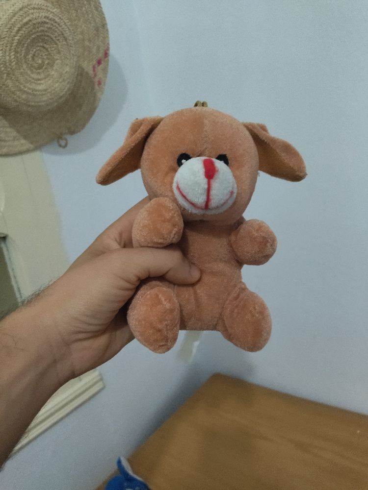 Peluche 🧸