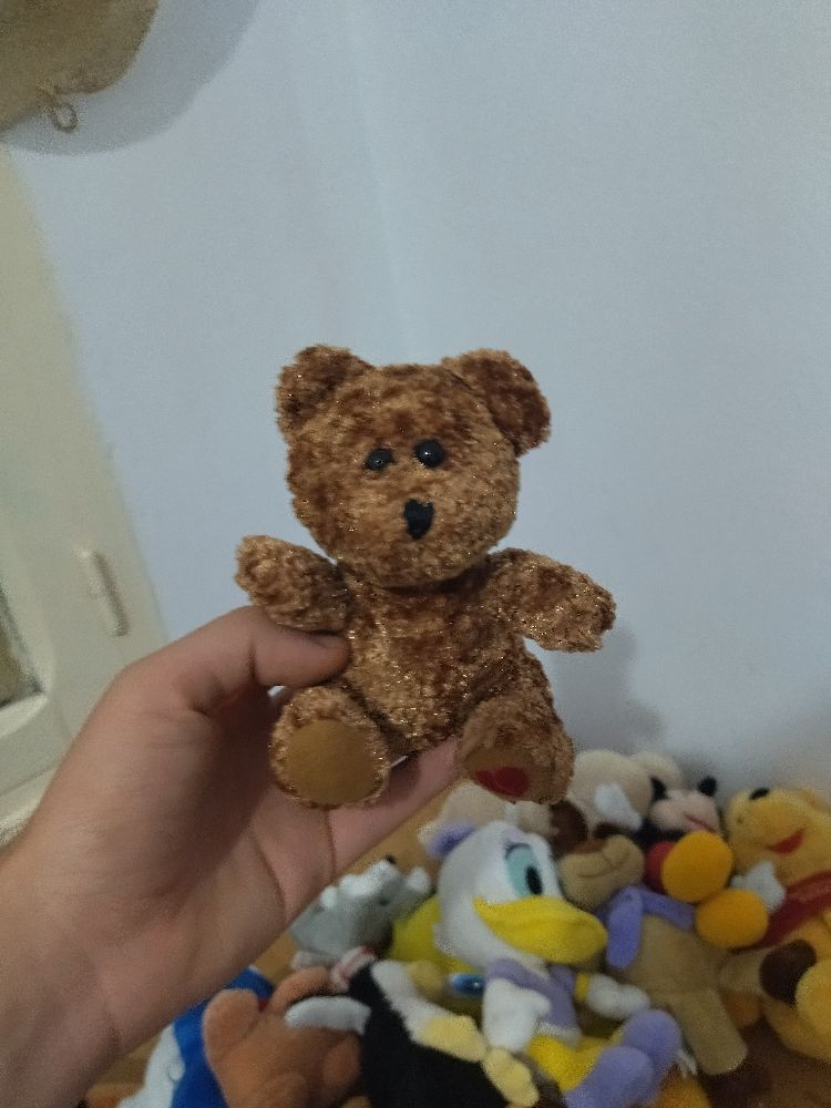 Peluche ours 🧸