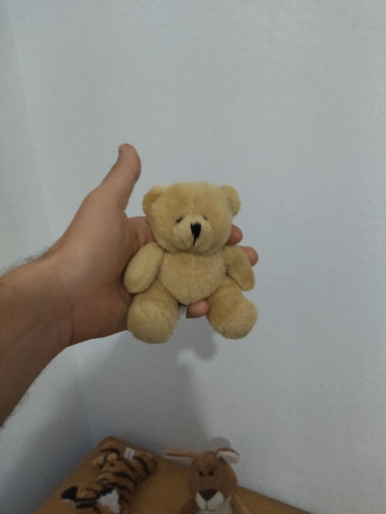 peluche ours peluche 🧸