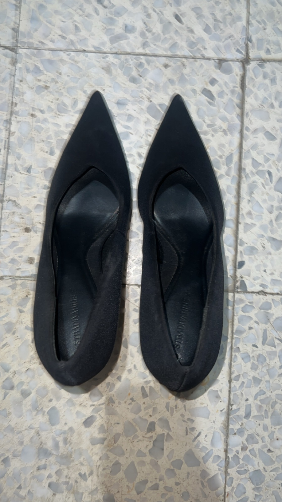 Talons stradivarus 