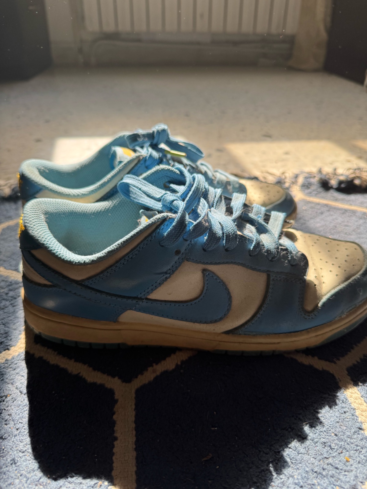 Dunk nike