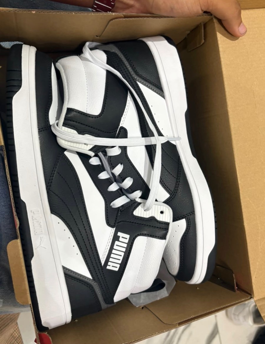 ‏ ‏spadri, puma