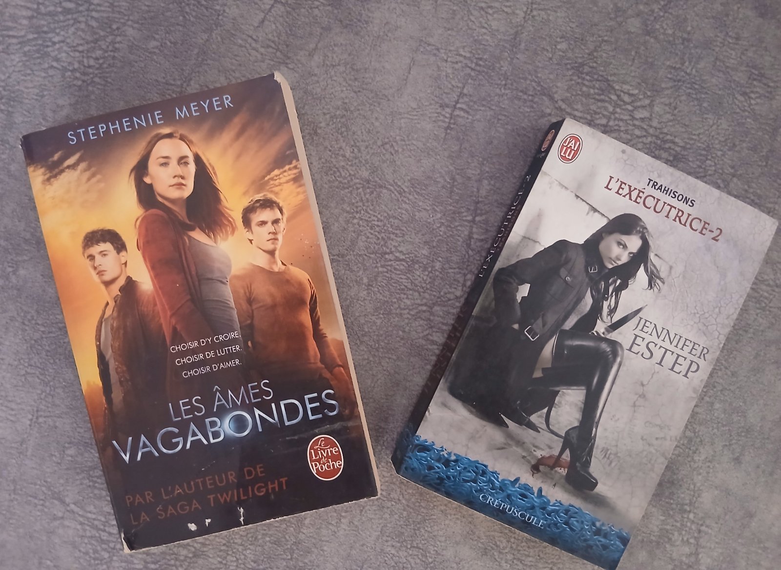 Lot de 2 romans