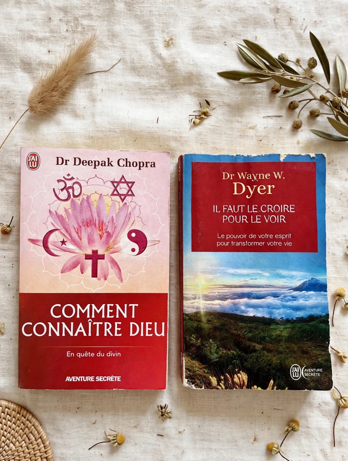 2 romans PRIX SPECIAL / A NE PAS RATER