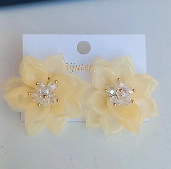 Boucle d'oreilles 