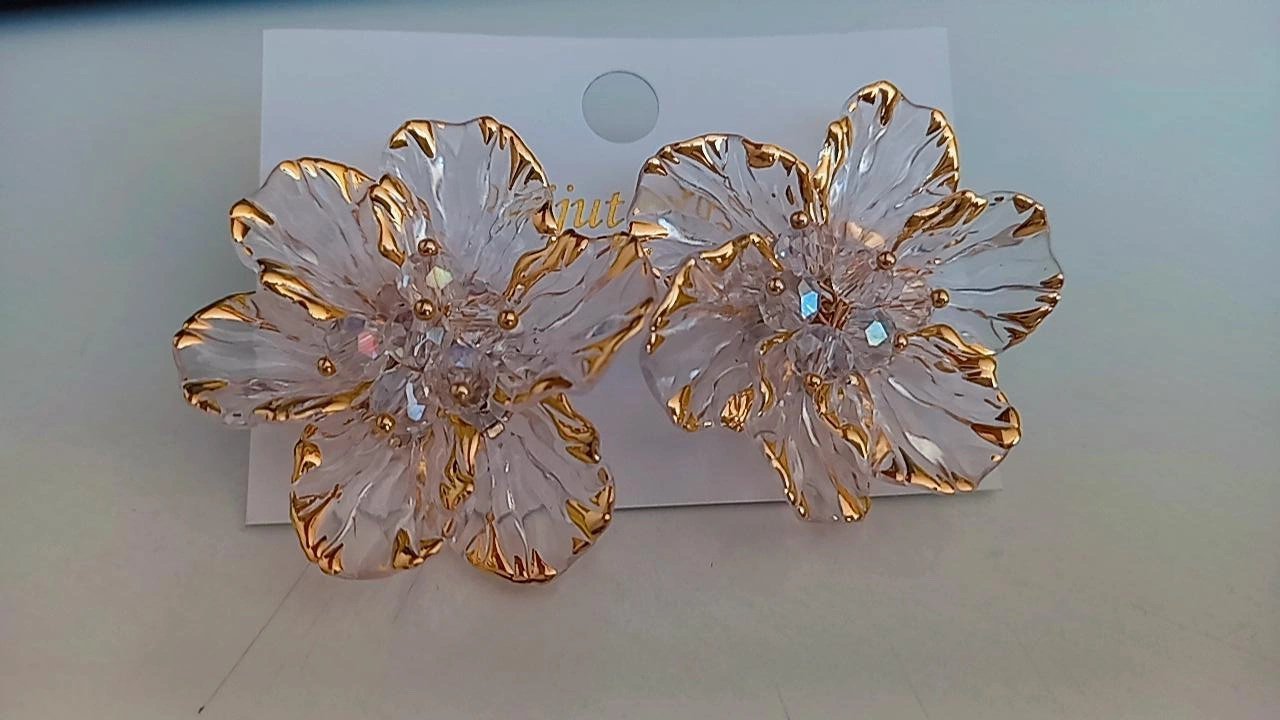 Boucle d'oreilles 