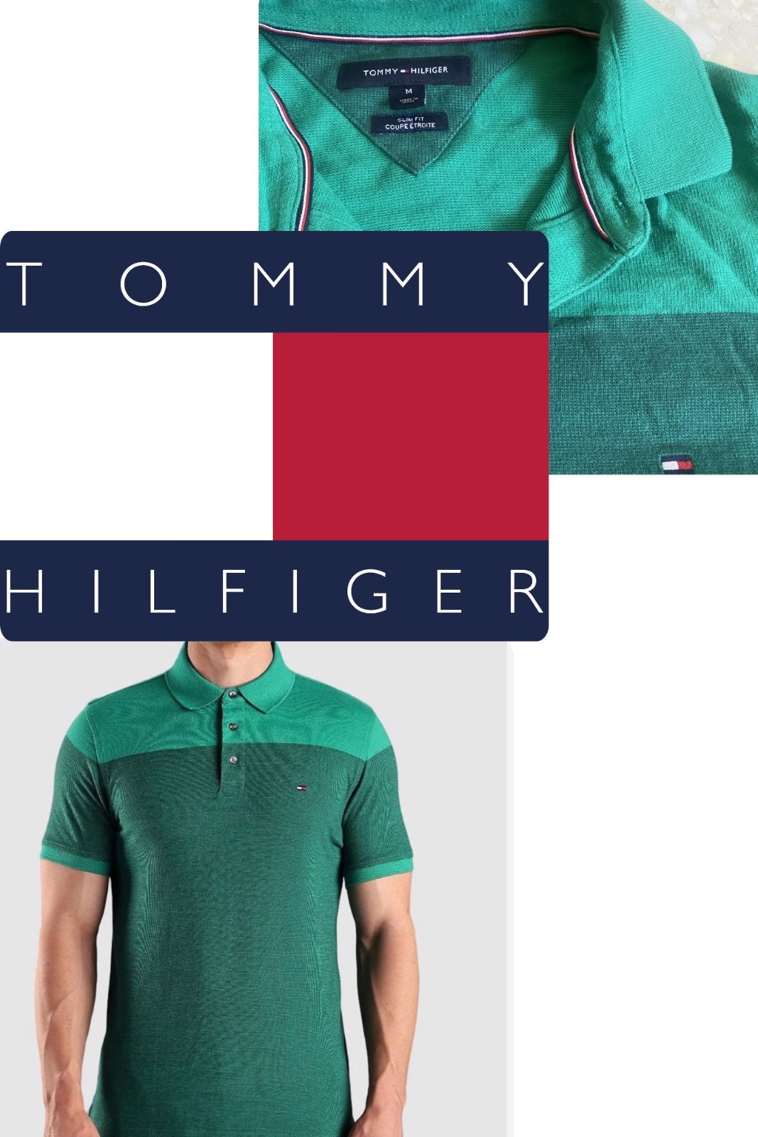 Polo tommy