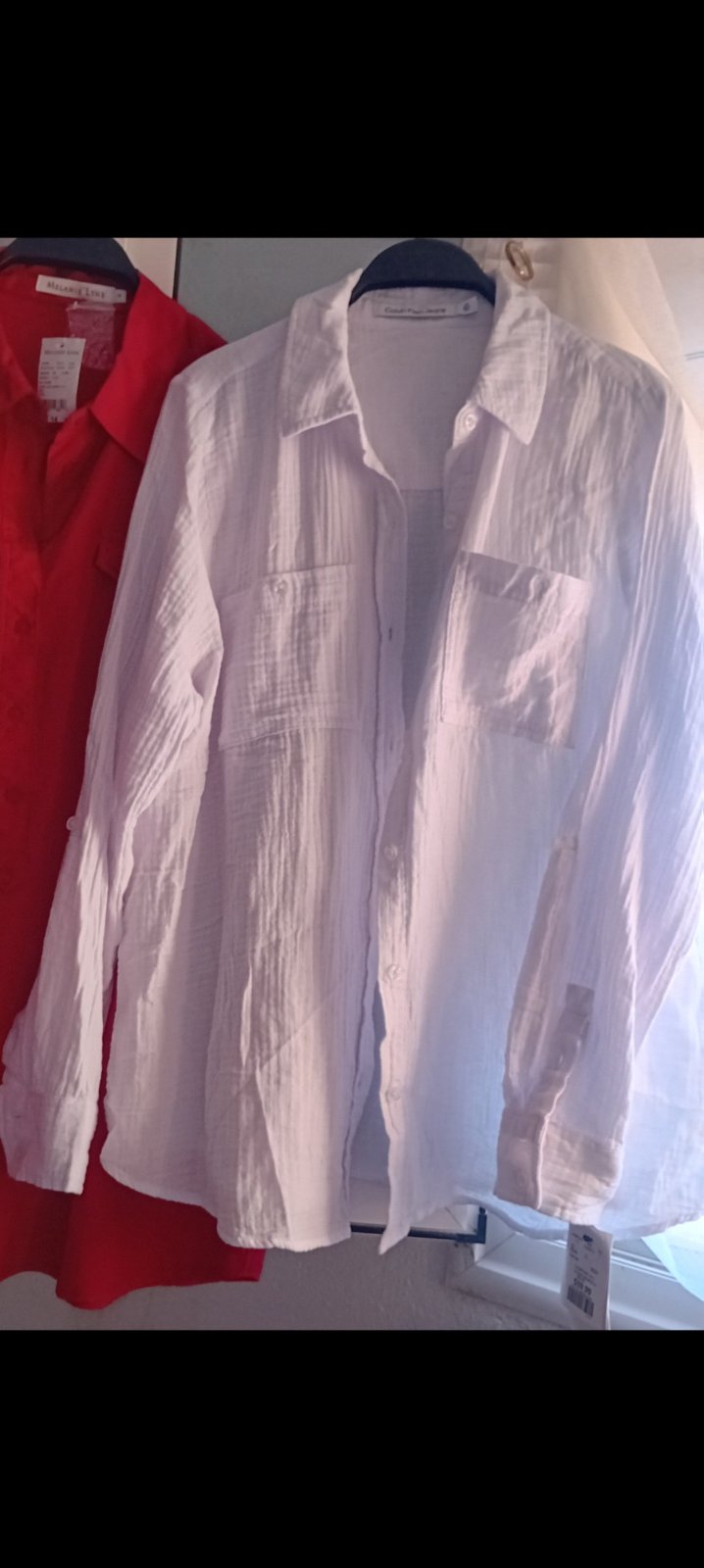 Chemise calvin