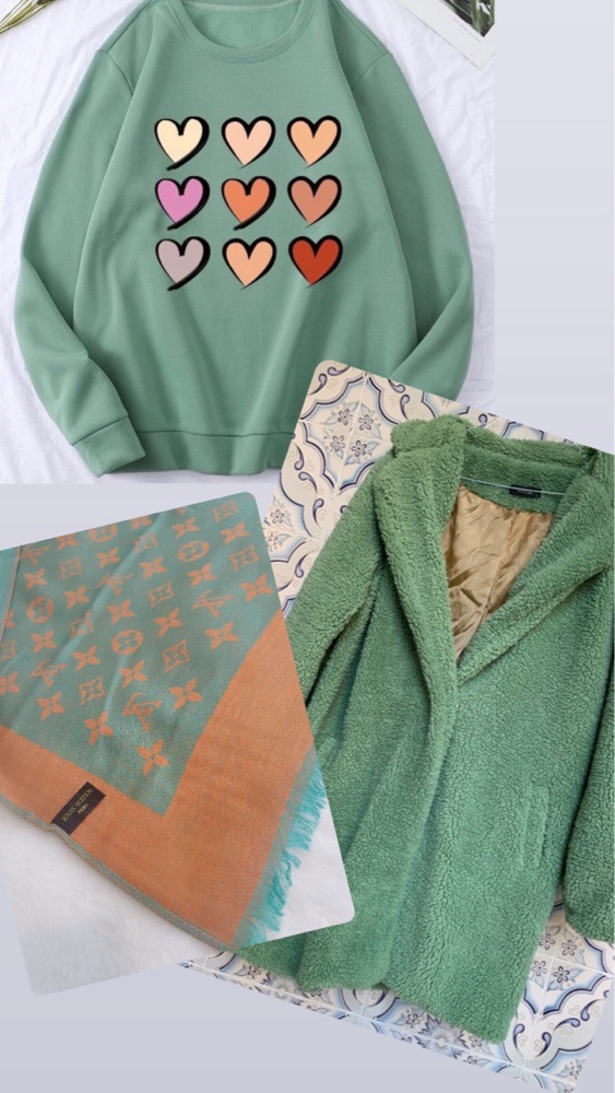Lot assorti très beau : écharpe Louis Vuitton + sweat-shirt SHEIN + manteau mouton 