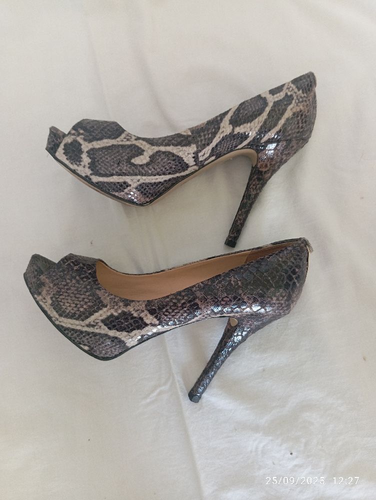 Escarpin guess reptile