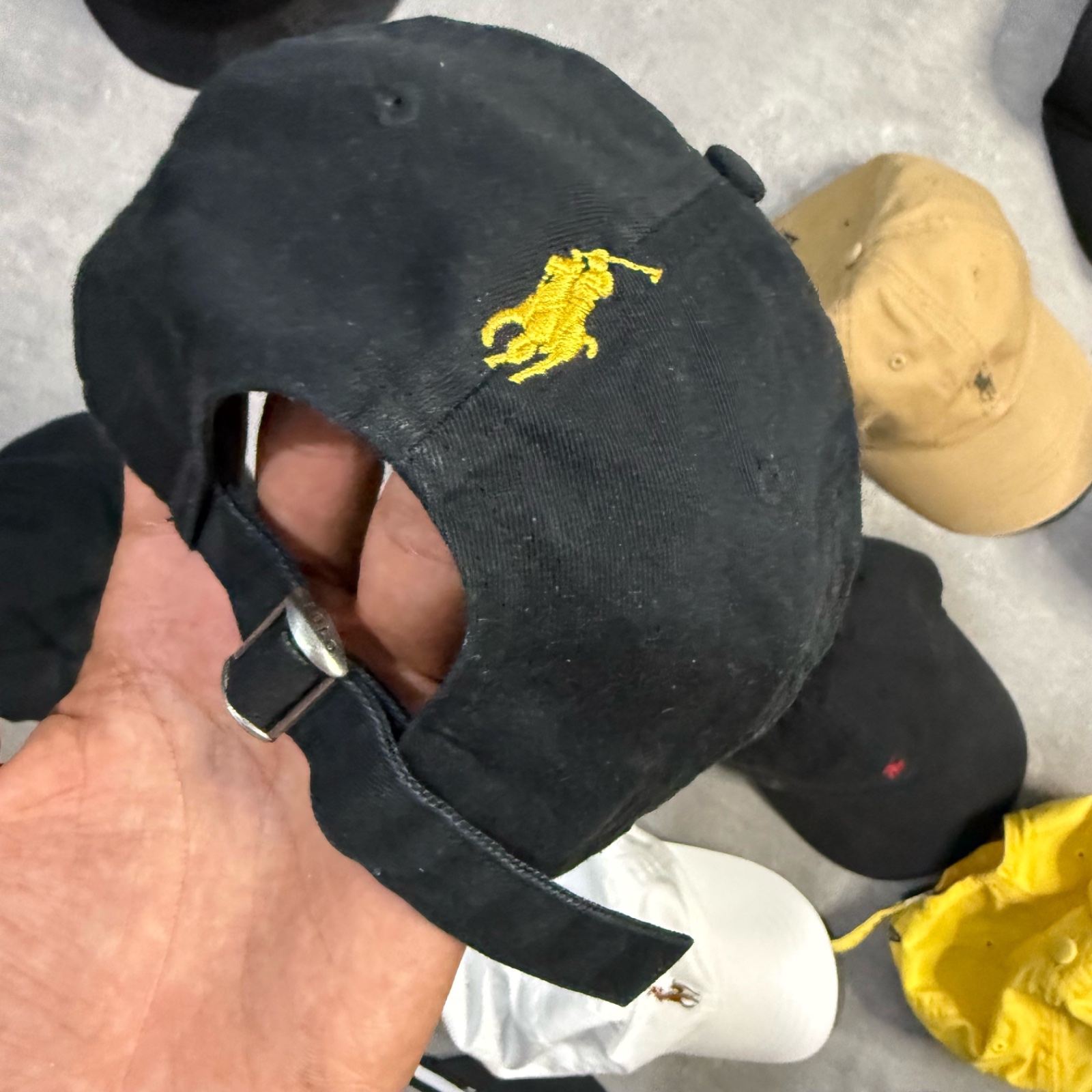 Polo Ralph lauren 🐕