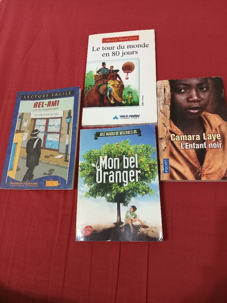 Lot de 4 livres