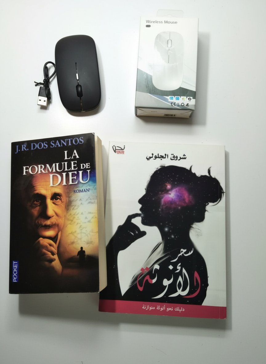 Lot: 2 livres + souris Bluetooth