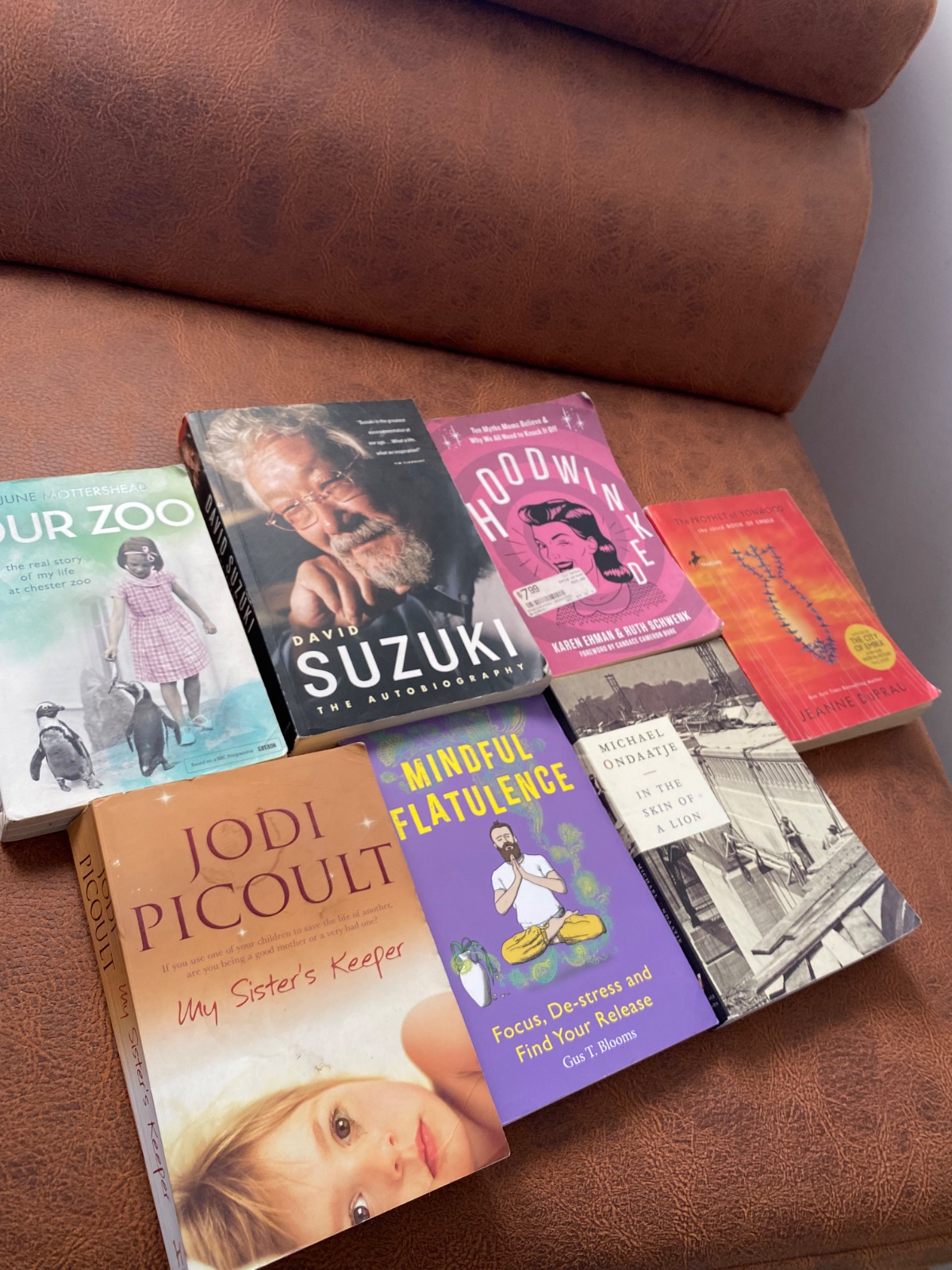 Lot 7 livres en anglais