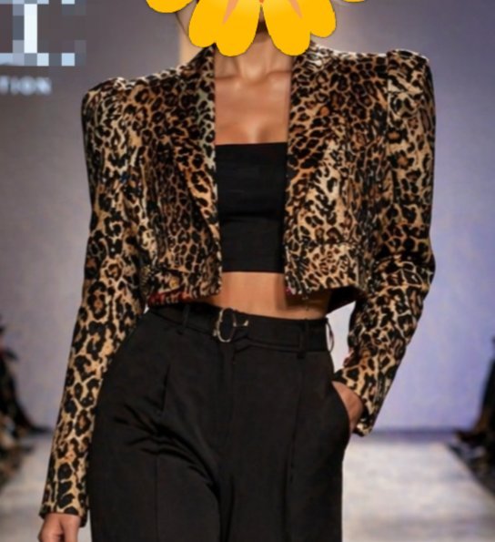 Veste tigre