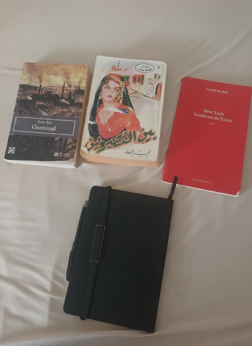 Lot de 3 livres et agenda et stylo cadeau