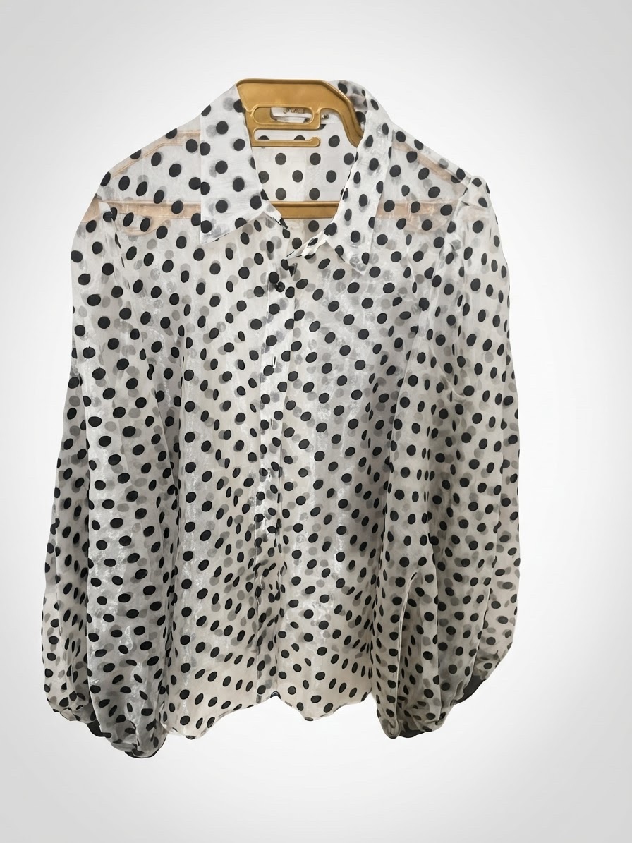 🖤🤍 Chemise transparente à pois dein de reverso sousse