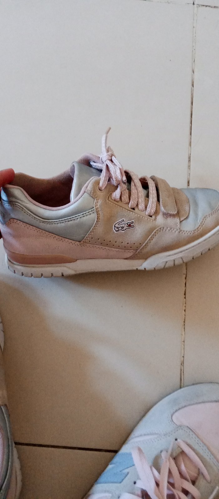 Basket lacoste