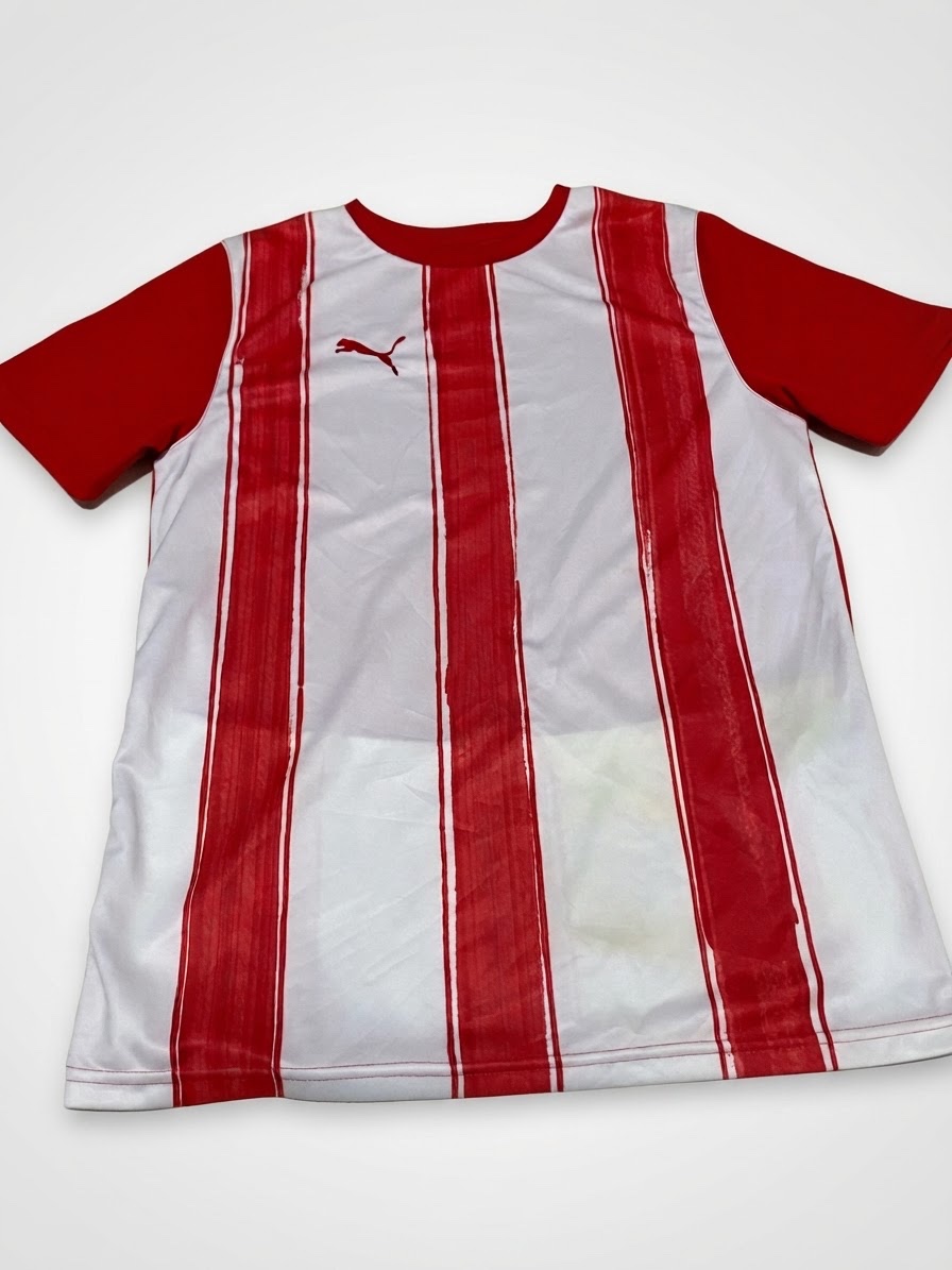 Puma Teamliga Striped Player Jersey Rouge & blanc