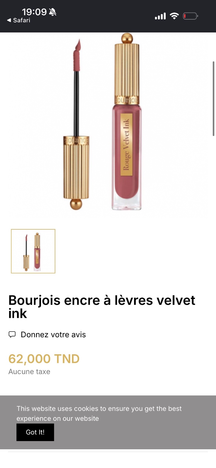 Bourjois encre à lèvres velvet 