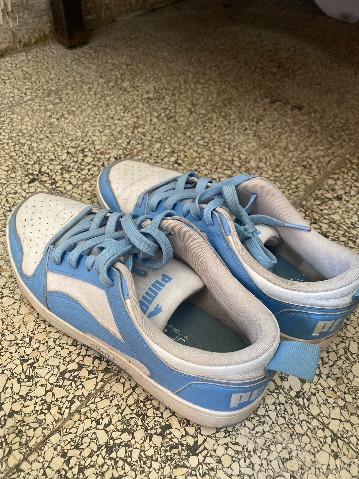 Puma 