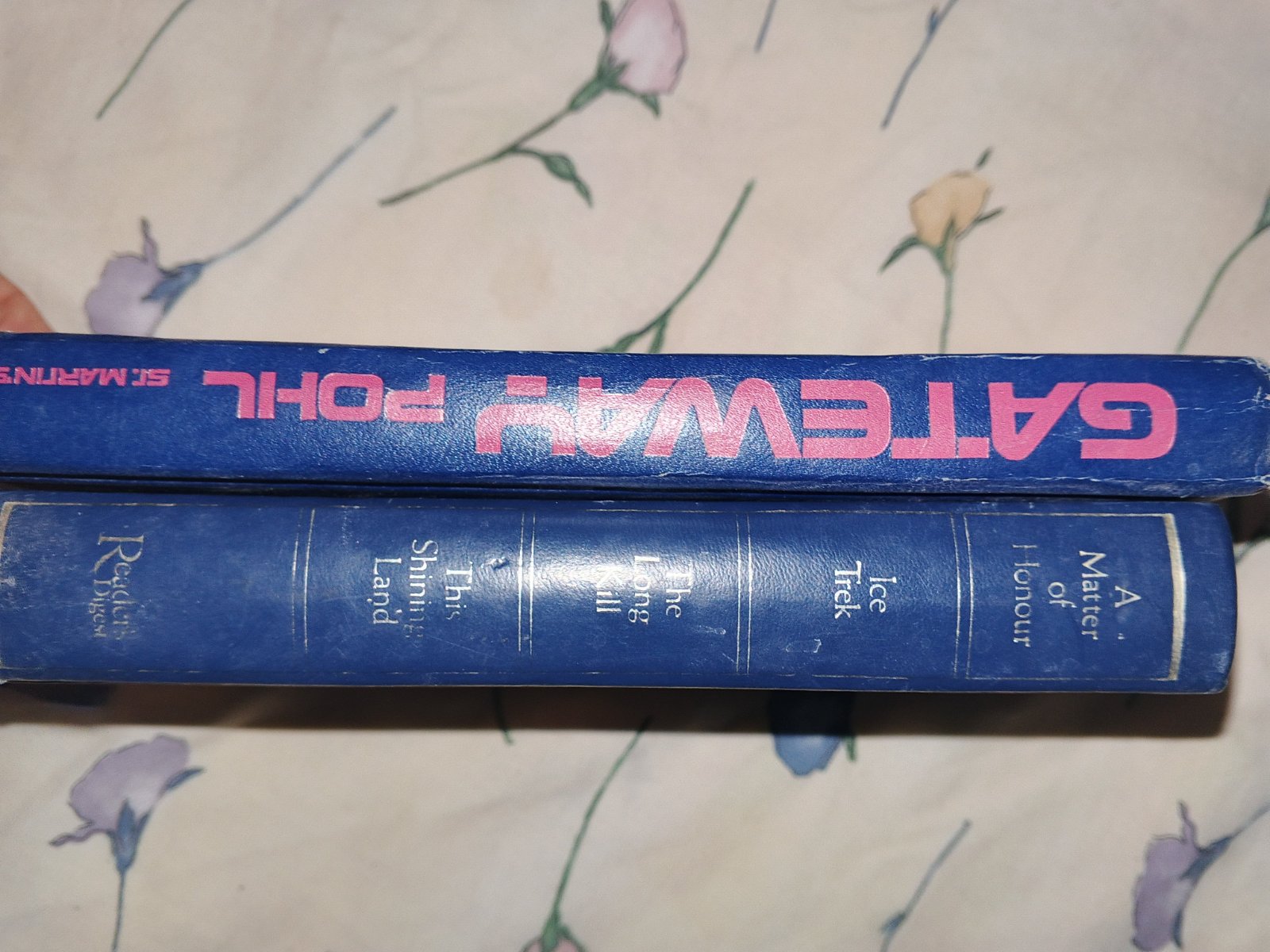 Gateway POHL sr.Martin's+ collection of books