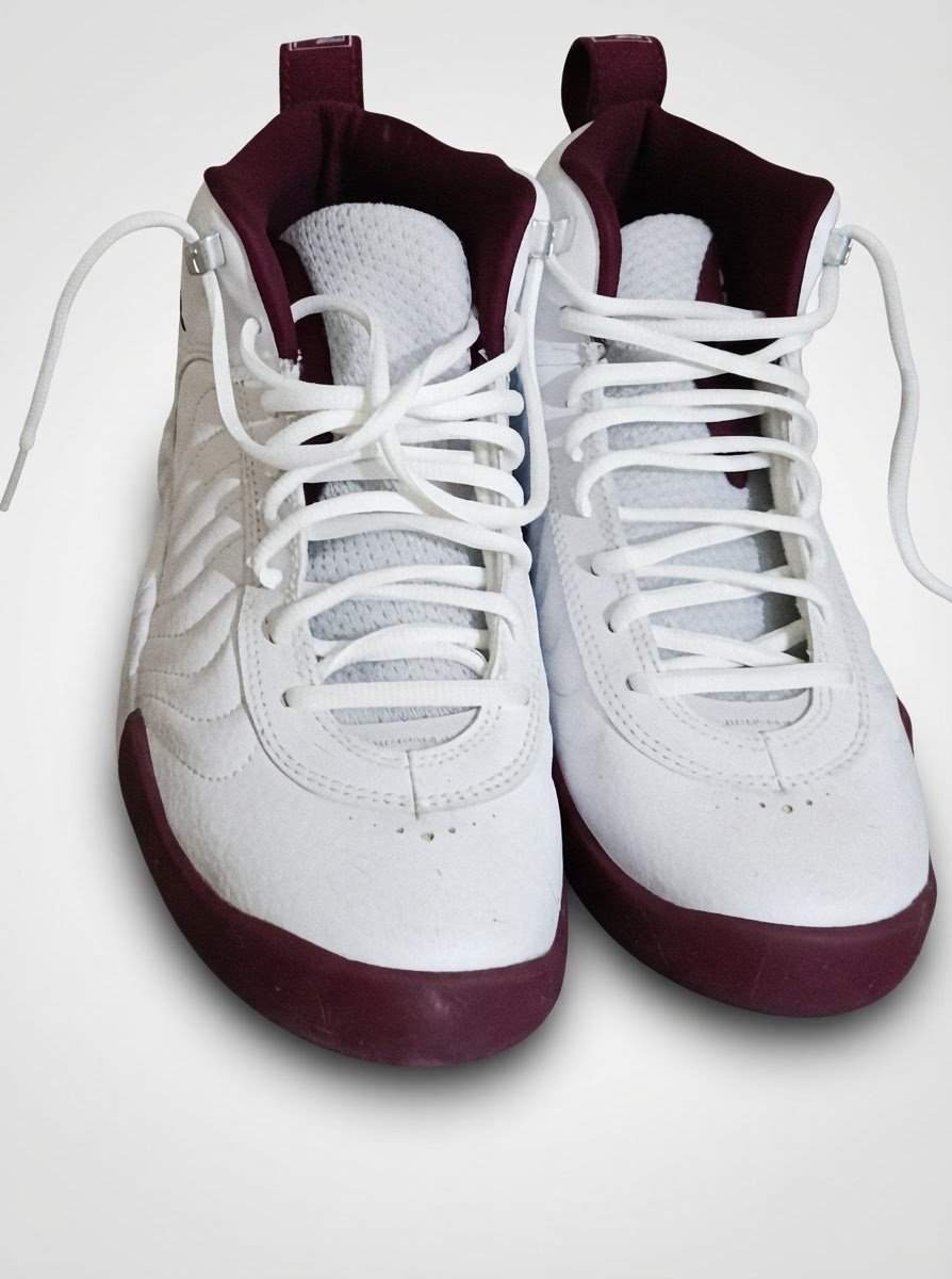 Chaussure jordan manjump