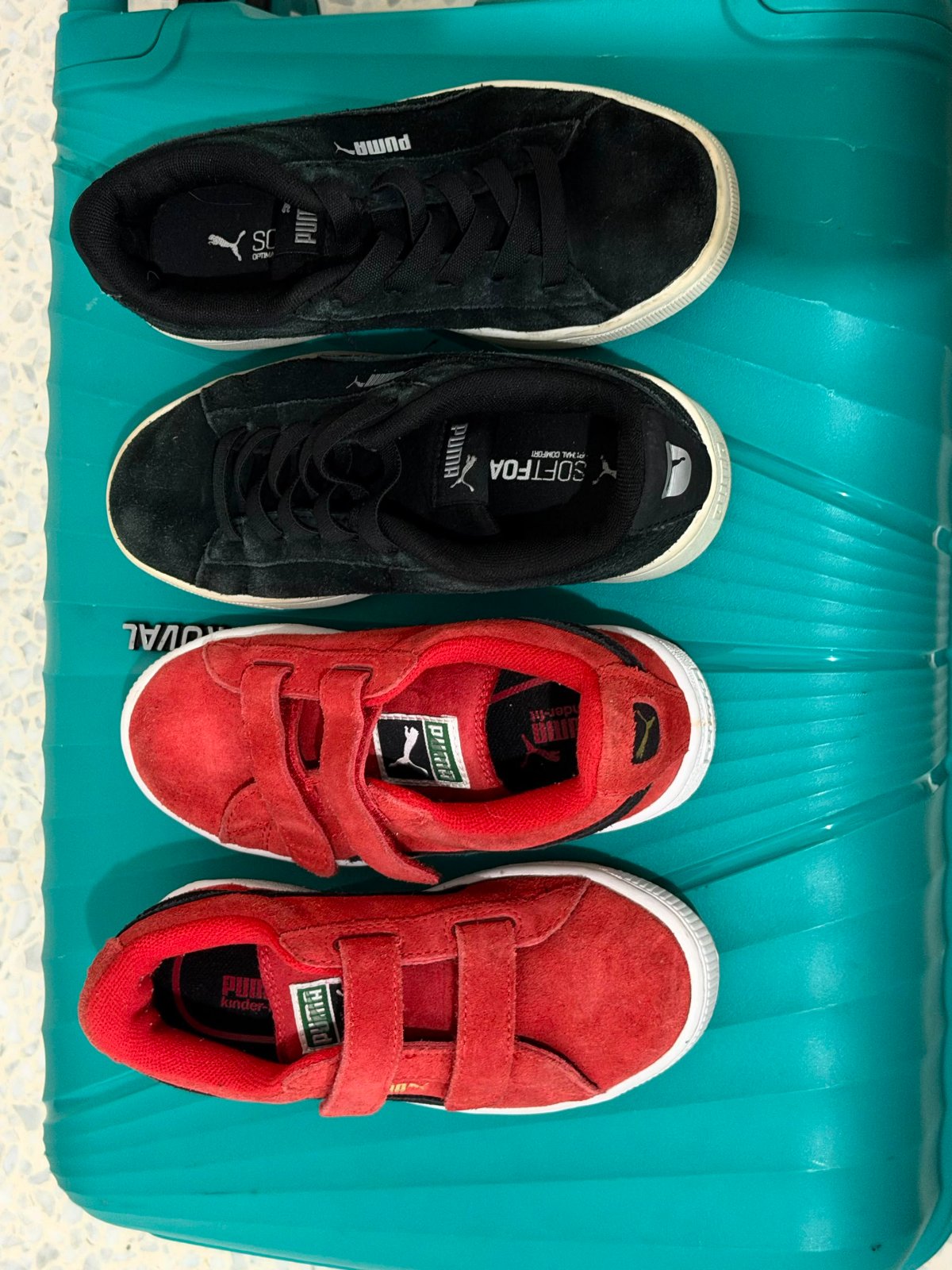 Puma 