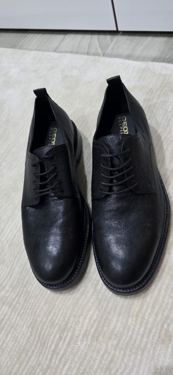 Derbie geox