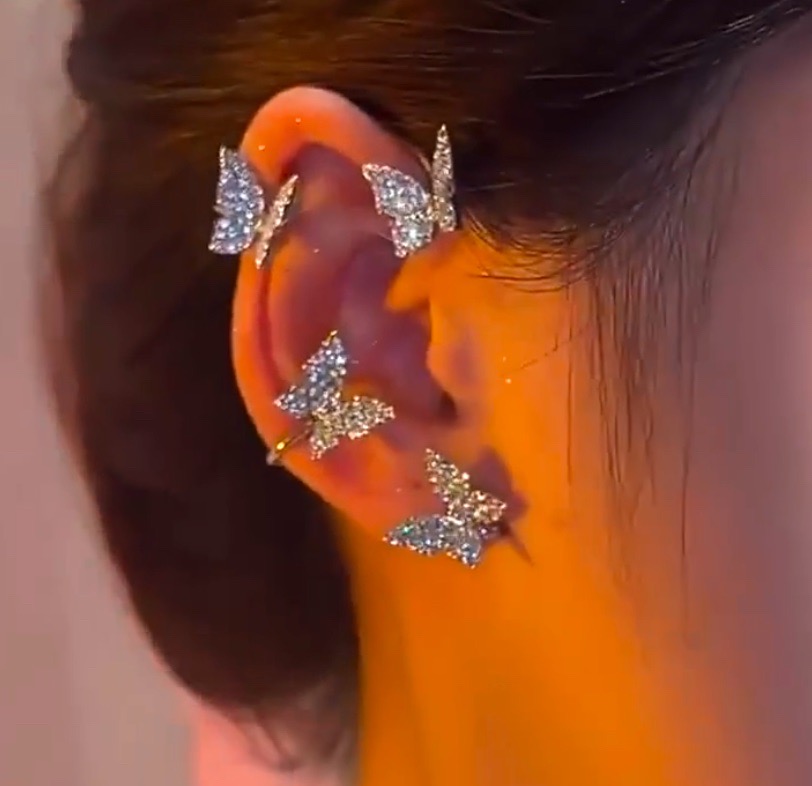 Boucle d'oreilles ( une piece )
